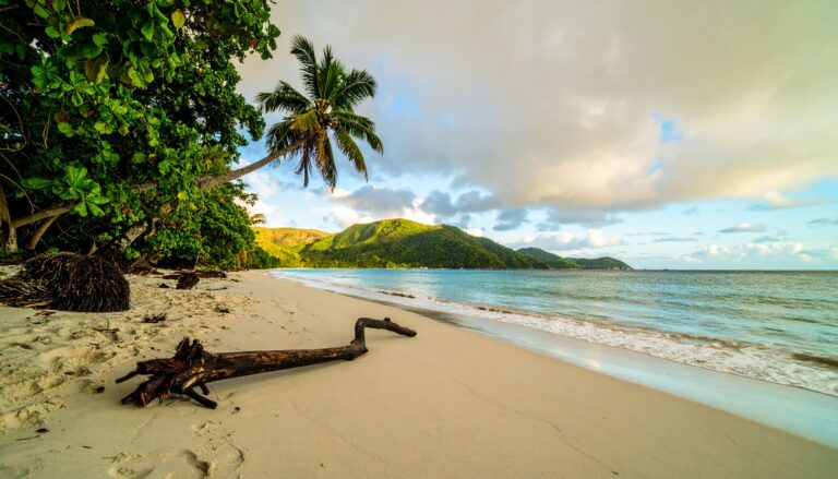 Paradiesischer Strand auf Martinique mit Palmen, türkisfarbenem Wasser und goldenem Sonnenaufgang