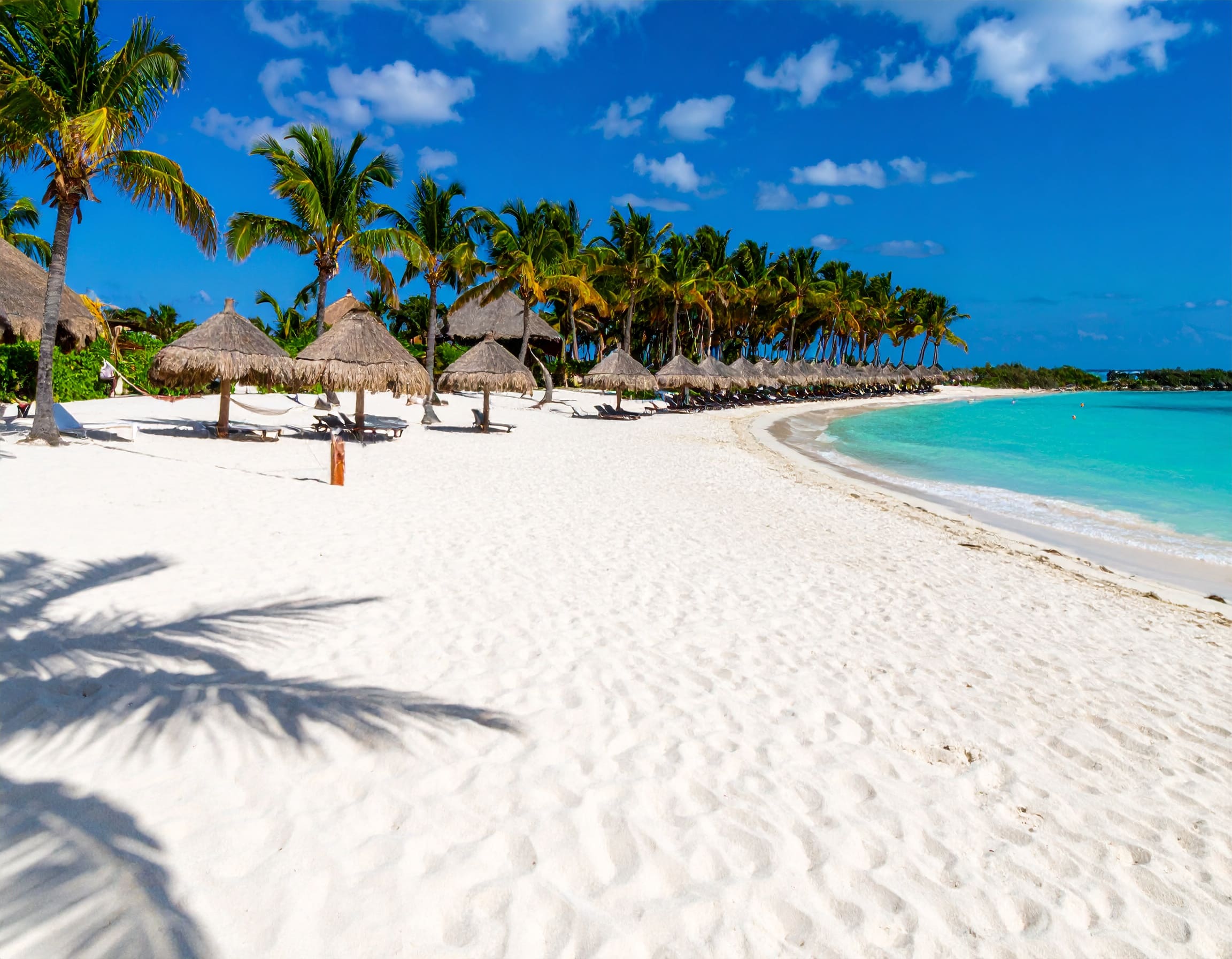 Weißer Karibikstrand mit Palmen, türkisfarbenem Meer und Hängematte in Mexiko