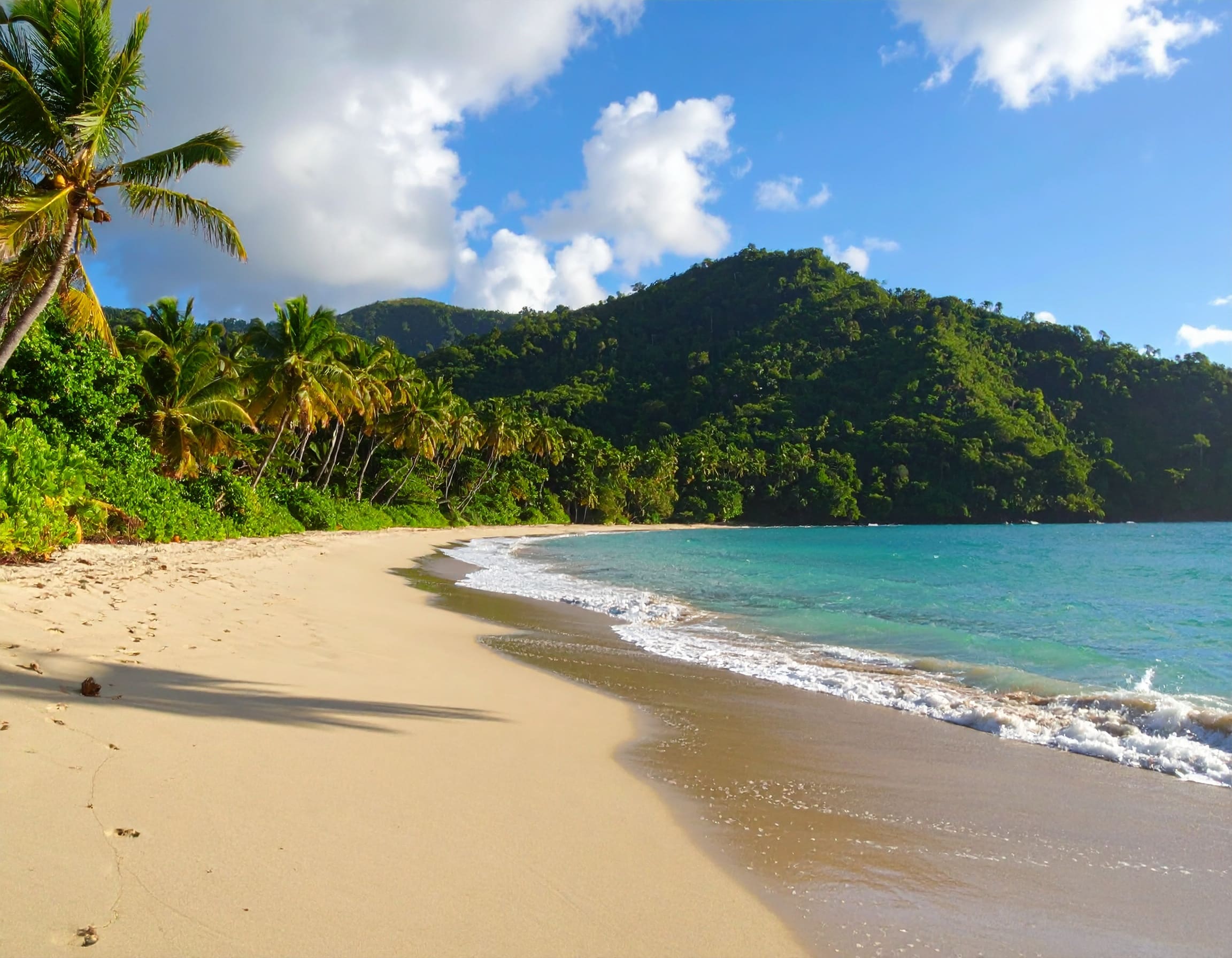 Weißer Sandstrand mit Palmen und türkisfarbenem Meer auf Tobago im Morgenlicht