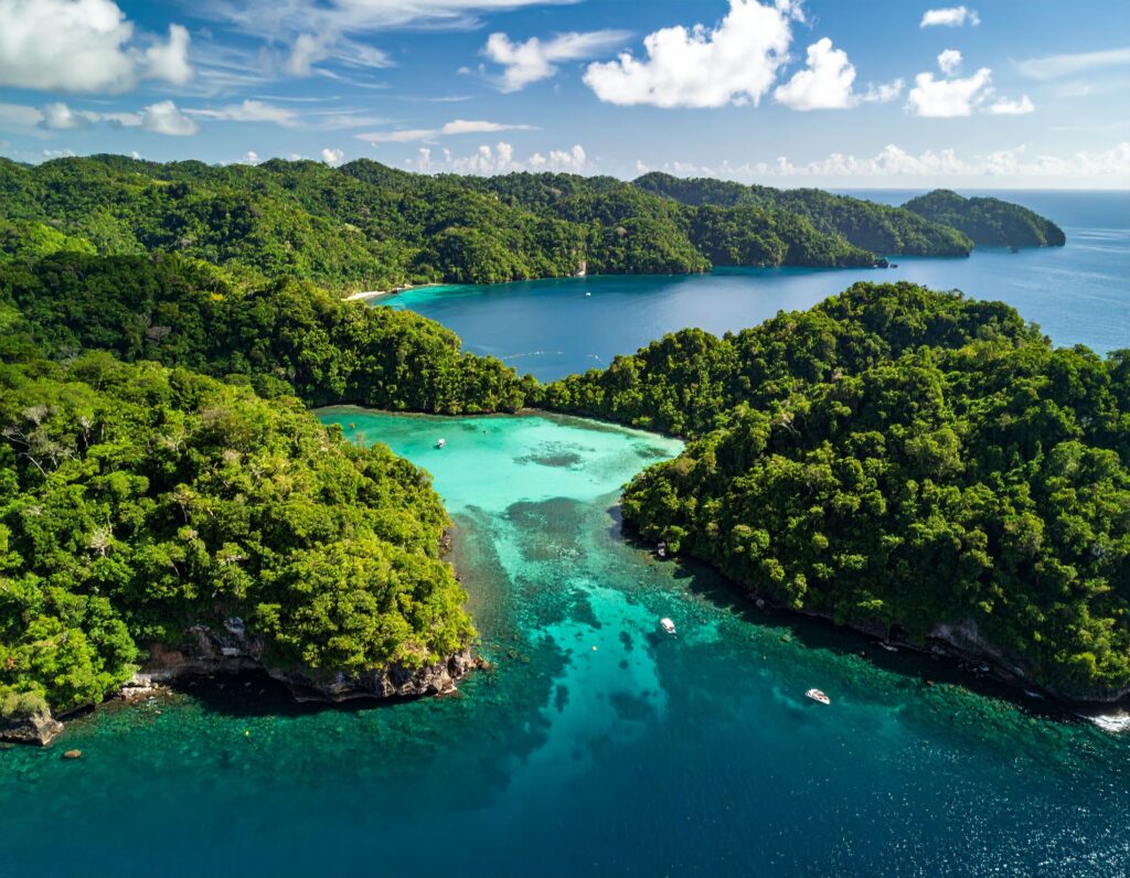 Luftaufnahme von Little Tobago mit grüner Vegetation und klarem Meer.