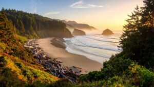 Oregon Pazifikküste mit Klippen, Kiefernwald und Nebelschwaden im Morgengrauen