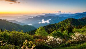 Landschaft im Sonnenaufgang über den nebelverhangenen Great Smoky Mountains in Tennessee, mit Wald und Wildblumen im Vordergrund.