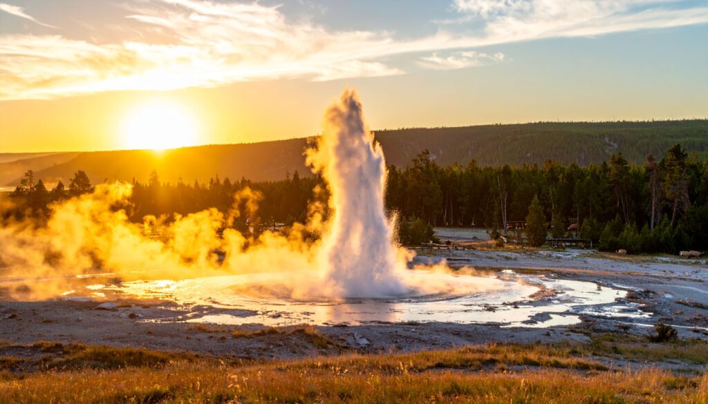 Geysir im Yellowstone Nationalpark bei Sonnenaufgang mit Dampf und Wildtieren.